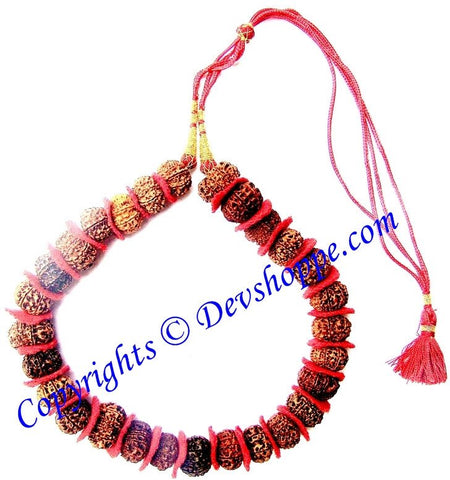 11 Mukhi (Eleven faced) Rudraksha mala of 27+1 beads - Devshoppe