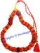12 mukhi ( Twelve Faced ) Rudraksha mala of 27+1 beads - Devshoppe