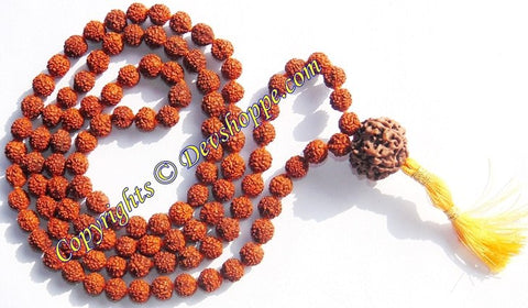 Rudraksha five faced ( 5 mukhi ) ravadhar mala with large Seven faced Sumeru bead (Guru bead) - Devshoppe