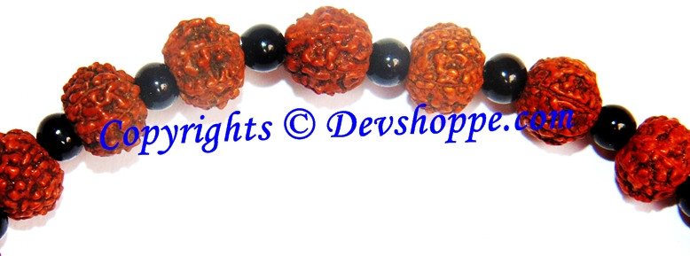 Rudraksha 7 mukhi bracelet with glass spacers - Devshoppe