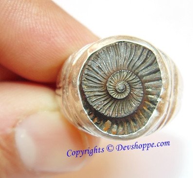 Sri Shaligram ( Salagram) Sudarshan Shila silver ring