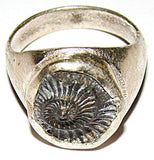 Sri Shaligram ( Salagram) Sudarshan Shila silver ring - Devshoppe