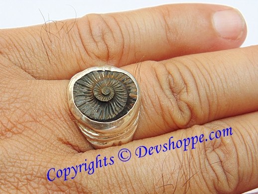 Sri Shaligram ( Salagram) Sudarshan Shila silver ring - Devshoppe
