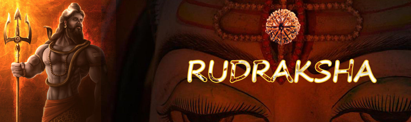 Buy Rudraksha beads at www.Devshoppe.com